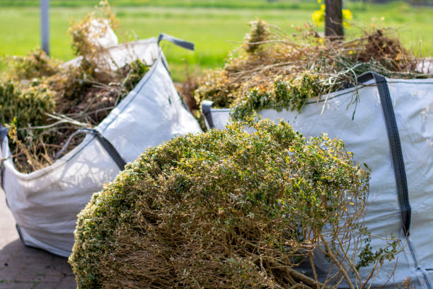 Best Affordable Junk Removal Services  in Wheatland, CA